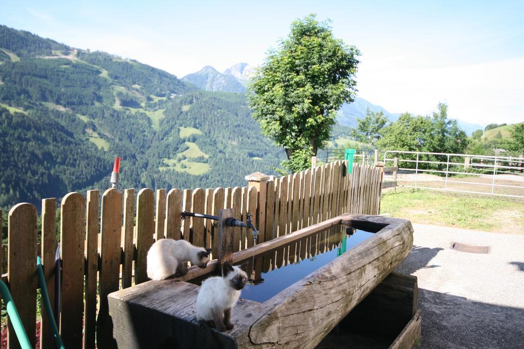 Bauernhaus Bichl Sankt Johann im Pongau Exterior photo